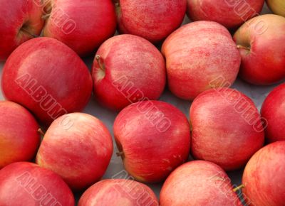 Red apples background