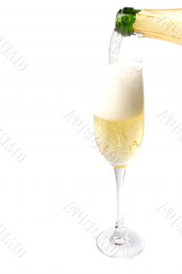 champagne