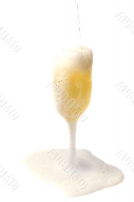 champagne