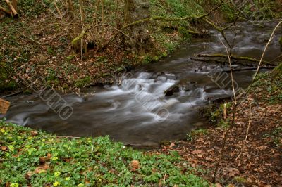 Wild creek in the Kellerwald mountains