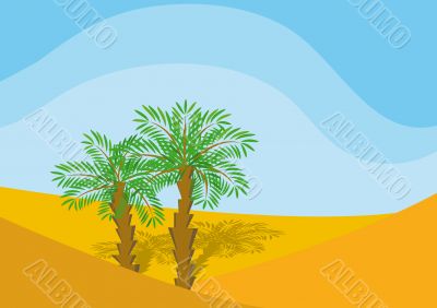 Two palm-trees