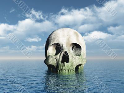 skull
