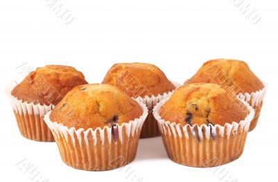 Blueberry muffins on white