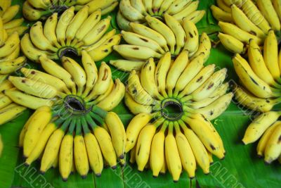 banana fruit for sale