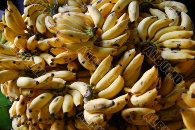 banana fruit for sale