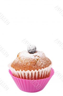 Blueberry muffin on white