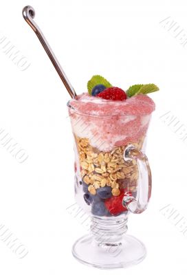 Healthy breakfast with muesli and yoghurt