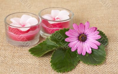 Relaxing spa scene