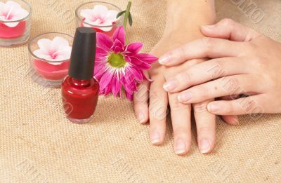 Hands of a woman in a spa