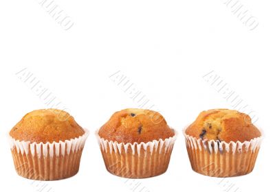 Blueberry muffins on white