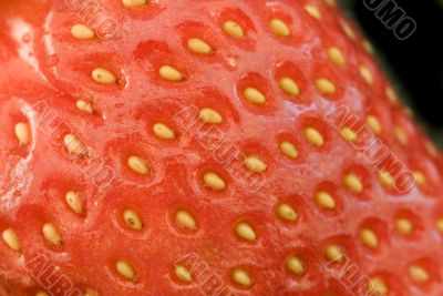 Close up strawberry