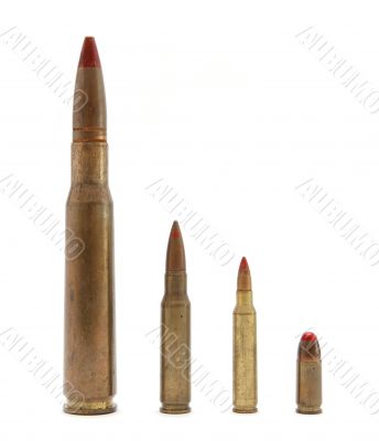 Tracer cartridges of various calibers on white