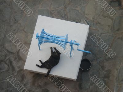Black cat on the former well