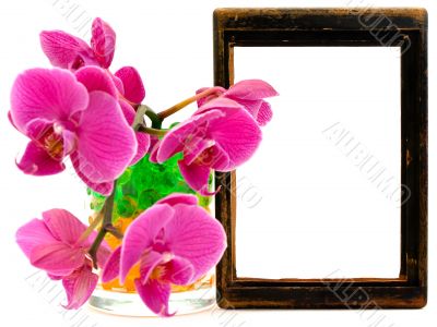 pink orchid and vooden frame
