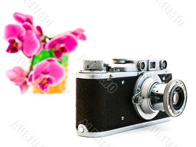 old photocamera and pink orchid