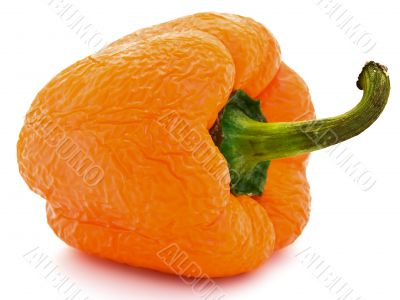 old wrinkled orange paprika