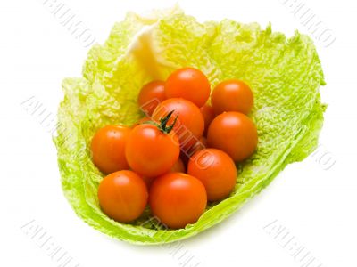 tomatoes in cabbage