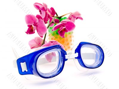swimming glases