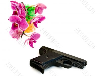 pink orchid and gun