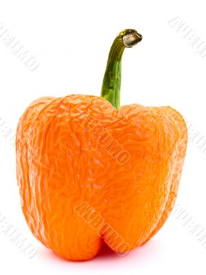 old wrinkled orange paprika