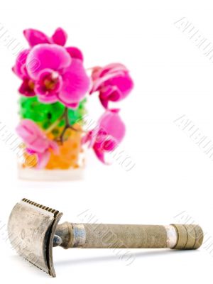 orchid in glass and shave razor