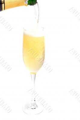 champagne