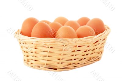 eggs in the basket