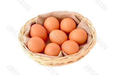 eggs in the basket