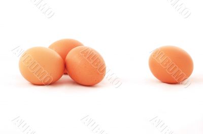 eggs isolated