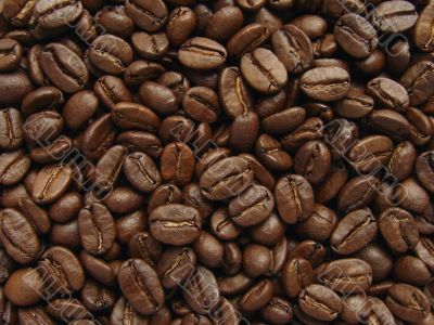 coffee beans