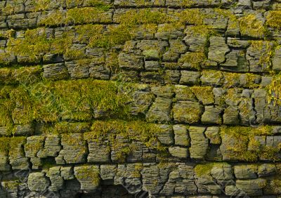 Moss-grown cliff bachground