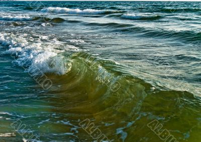 Beautiful colorful sea waves