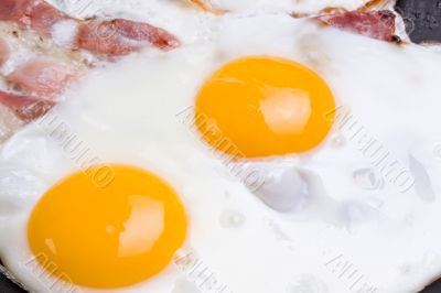 ham and eggs