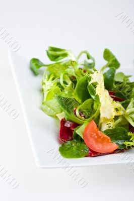salad