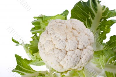 cauliflower