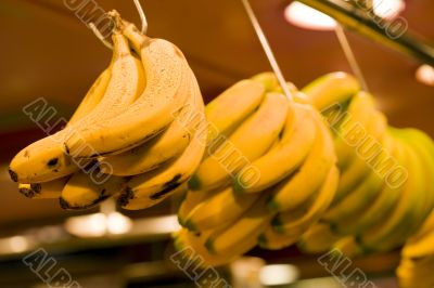 Bananas