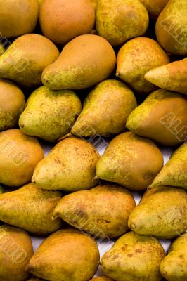 Pears