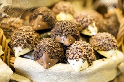 Chocolate Eagels