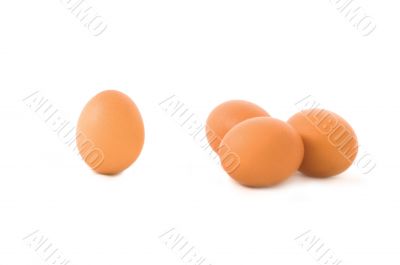 eggs on the white