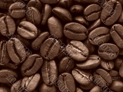coffee beans