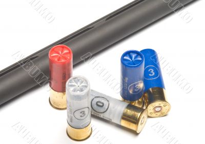 The hunting cartridges