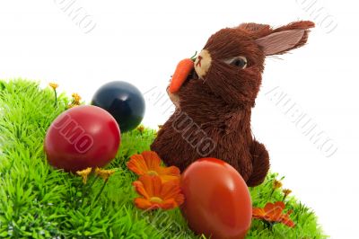 Easter bunny