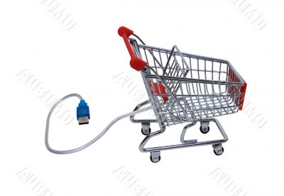 Online shopping checkout cart
