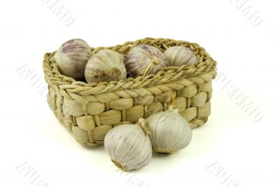 Basket full of fresh garlics