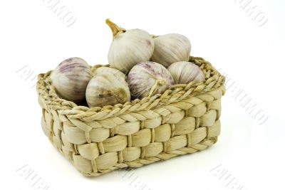 Basket full of fresh garlics