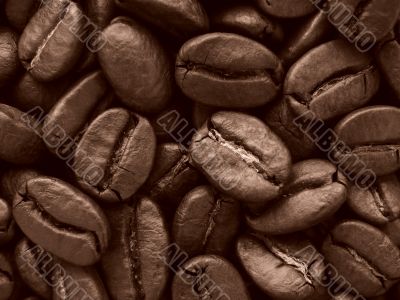 coffee beans