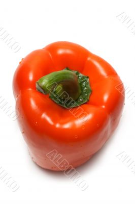 Orange bulgarian pepper