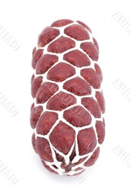summer sausage on white