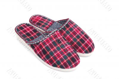 slippers closeup