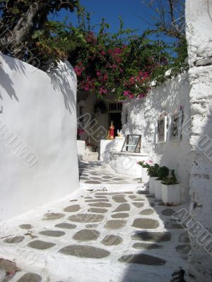 narrow street on a greek island